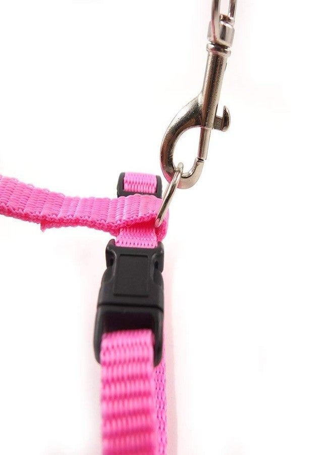 Pups&Pets Nylon Harness Leash Set for Cat Kitten and Small Pet Nylon Harness Strap Collar | Cat Training Leash (Plain, Pink) - Image 3